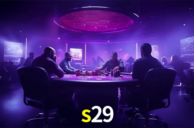 s29 Logo 2